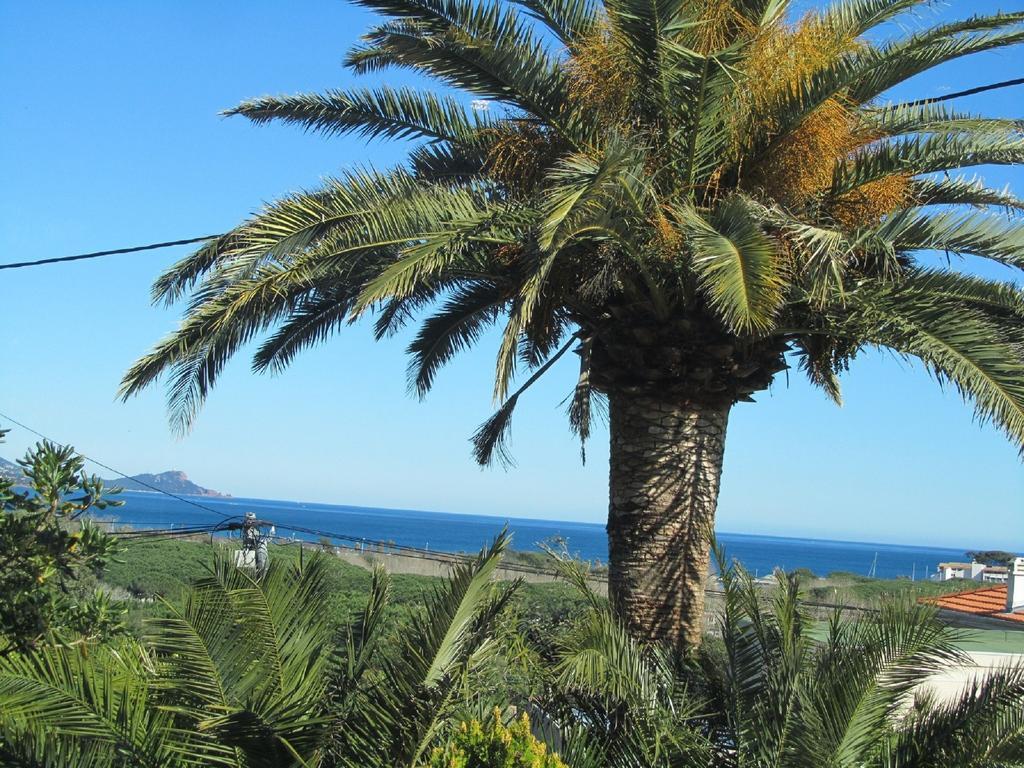Au Reveil Des Cigales Otel Saint Aygulf Dış mekan fotoğraf